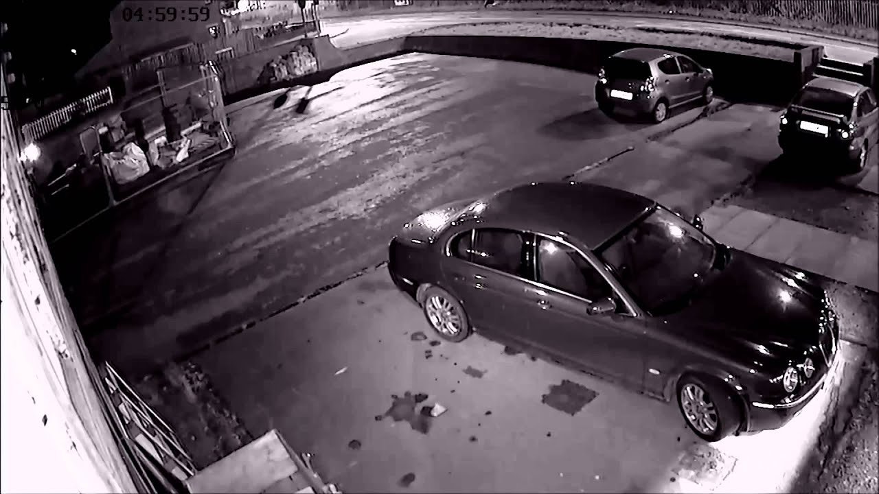 Luxury Auto Gallery preview